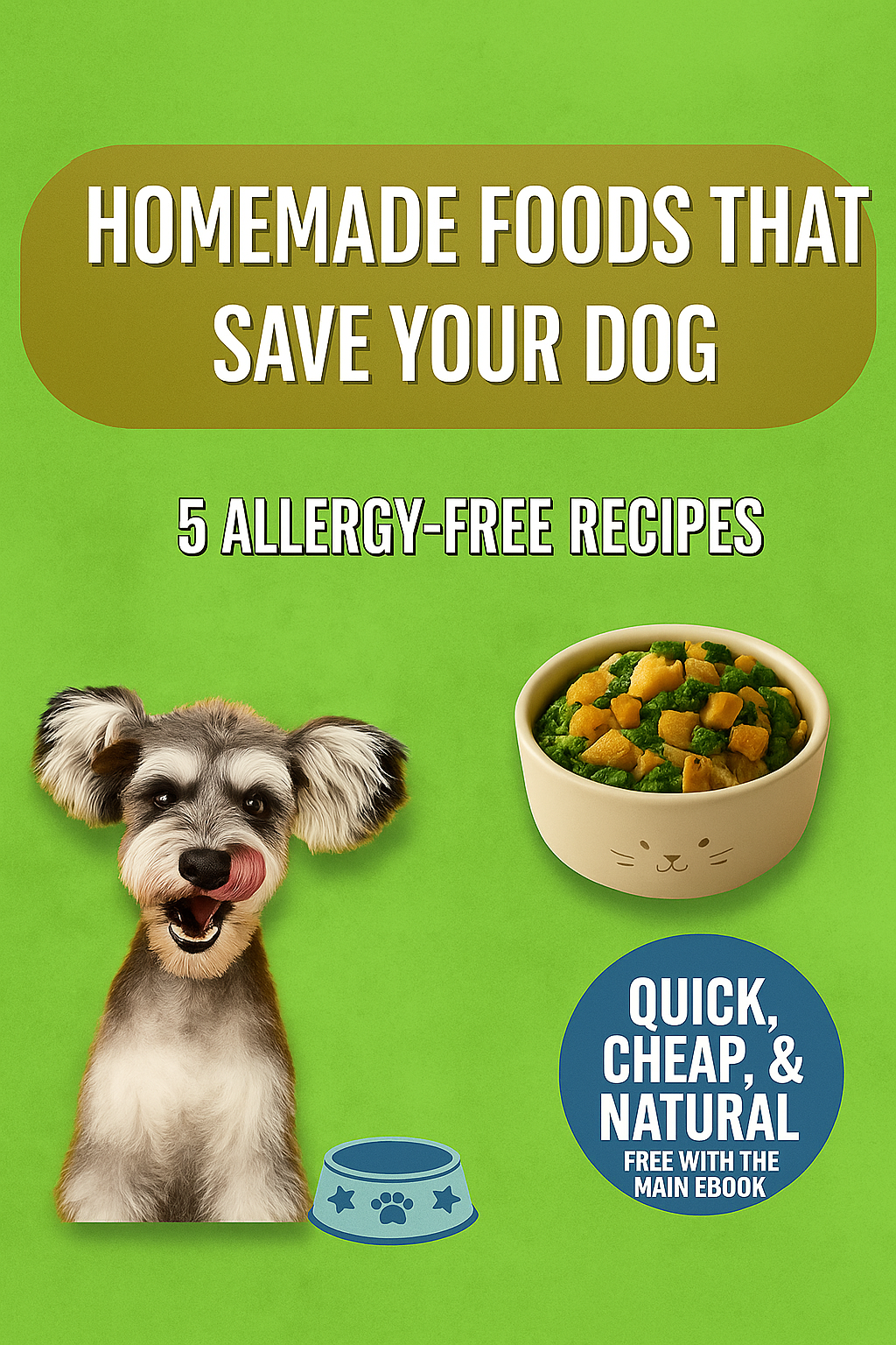 Healthy snack recipes